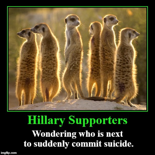 Hillary Supporters | image tagged in funny,clinton hit list,sudden suicide,clinton crime family | made w/ Imgflip demotivational maker