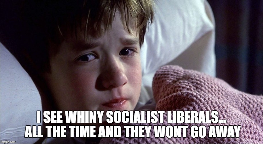 6 sense | I SEE WHINY SOCIALIST LIBERALS... ALL THE TIME AND THEY WONT GO AWAY | image tagged in anti-liberal,stupid liberals,liberalism is a mental disorder,liberal millenials,sixth sense,liberal hypocrisy | made w/ Imgflip meme maker