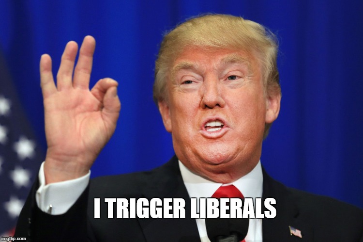I TRIGGER LIBERALS | image tagged in donald trump,pro-trump,donald trump approves,trump 2018,president trump,donald trump memes | made w/ Imgflip meme maker