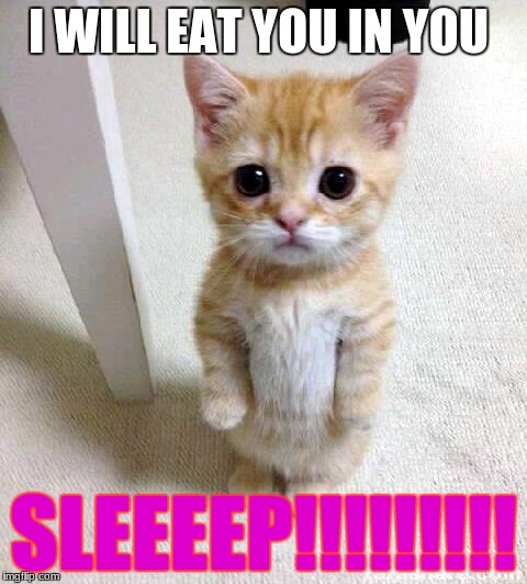 Cute Cat Meme | I WILL EAT YOU IN YOU; SLEEEEP!!!!!!!!! | image tagged in memes,cute cat | made w/ Imgflip meme maker