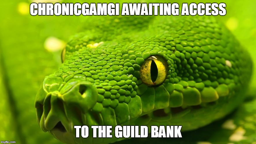 CHRONICGAMGI AWAITING ACCESS; TO THE GUILD BANK | made w/ Imgflip meme maker