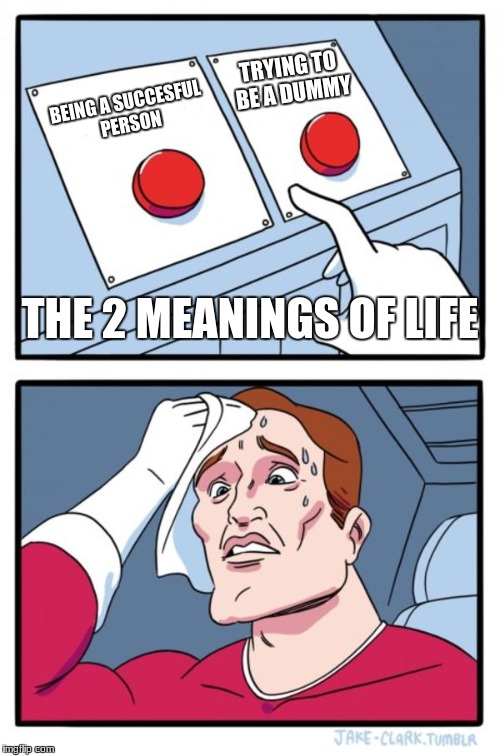 Two Buttons Meme | TRYING TO BE A DUMMY; BEING A SUCCESFUL PERSON; THE 2 MEANINGS OF LIFE | image tagged in memes,two buttons | made w/ Imgflip meme maker