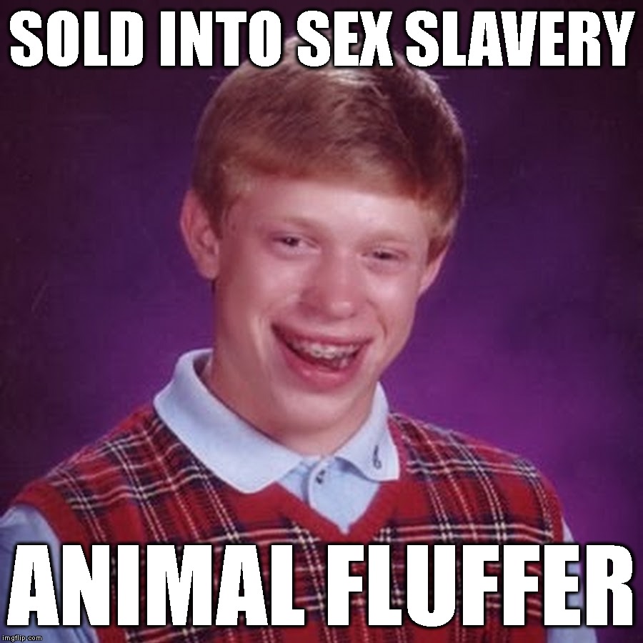 without any efund policy Imgflip