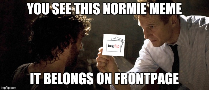 YOU SEE THIS NORMIE MEME; IT BELONGS ON FRONTPAGE | image tagged in funny,memes,liam neeson taken,lol,meanwhile on imgflip,imgflip community | made w/ Imgflip meme maker