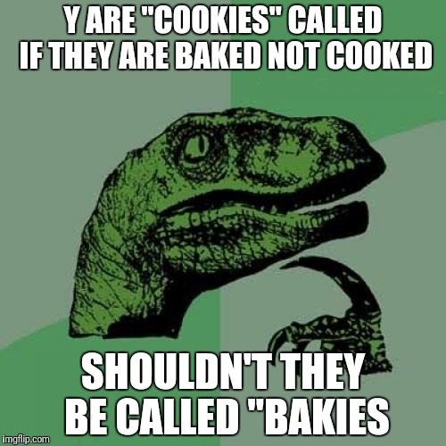 Philosoraptor Meme | Y ARE "COOKIES" CALLED IF THEY ARE BAKED NOT COOKED; SHOULDN'T THEY BE CALLED "BAKIES | image tagged in memes,philosoraptor | made w/ Imgflip meme maker