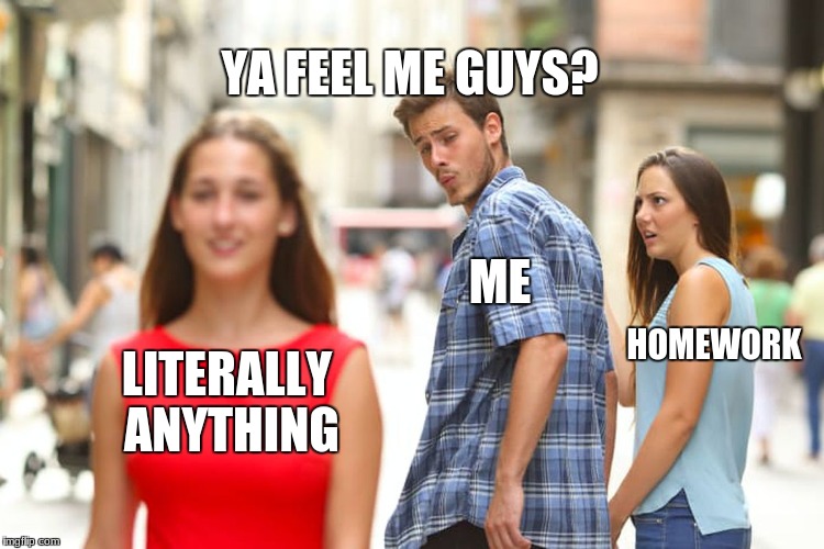 Distracted Boyfriend Meme | LITERALLY ANYTHING ME HOMEWORK YA FEEL ME GUYS? | image tagged in memes,distracted boyfriend | made w/ Imgflip meme maker