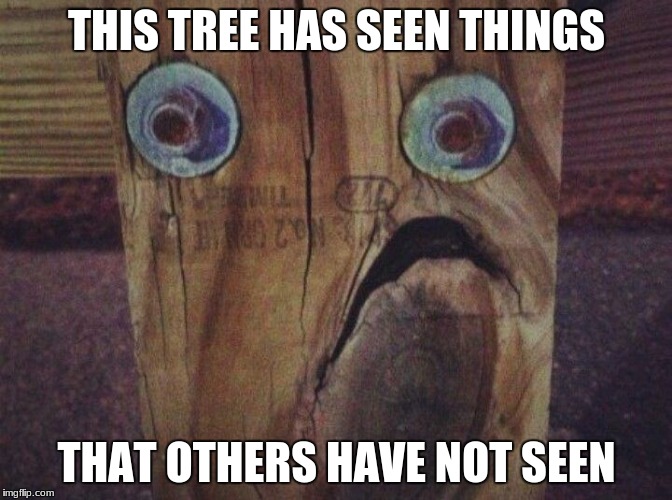 oak | THIS TREE HAS SEEN THINGS; THAT OTHERS HAVE NOT SEEN | image tagged in oak | made w/ Imgflip meme maker