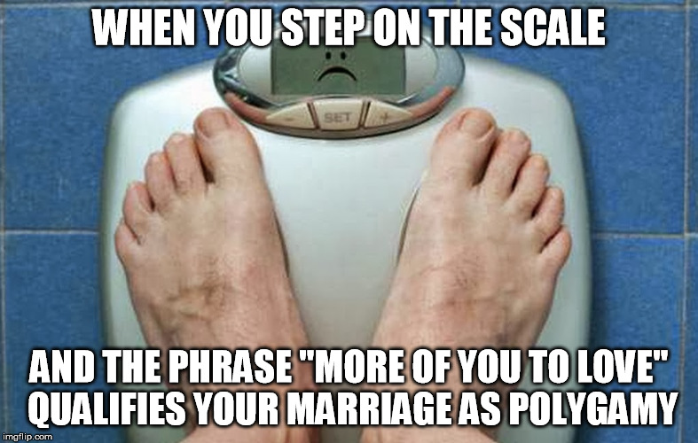 Scale Sadness | WHEN YOU STEP ON THE SCALE; AND THE PHRASE "MORE OF YOU TO LOVE" QUALIFIES YOUR MARRIAGE AS POLYGAMY | image tagged in fat,scale,sad | made w/ Imgflip meme maker