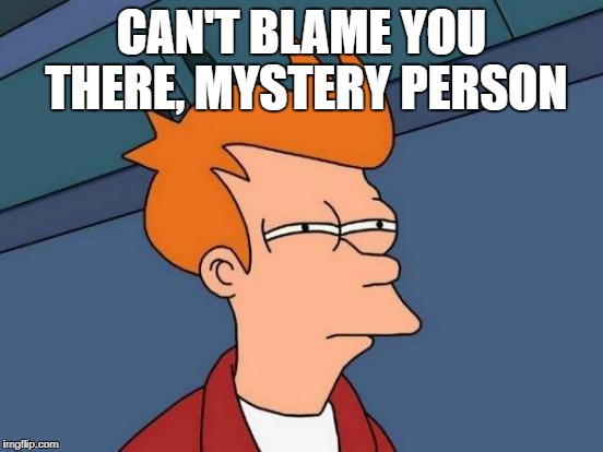 Futurama Fry Meme | CAN'T BLAME YOU THERE, MYSTERY PERSON | image tagged in memes,futurama fry | made w/ Imgflip meme maker