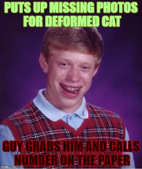 Bad Luck Brian Meme | PUTS UP MISSING PHOTOS FOR DEFORMED CAT; GUY GRABS HIM AND CALLS NUMBER ON THE PAPER | image tagged in memes,bad luck brian | made w/ Imgflip meme maker