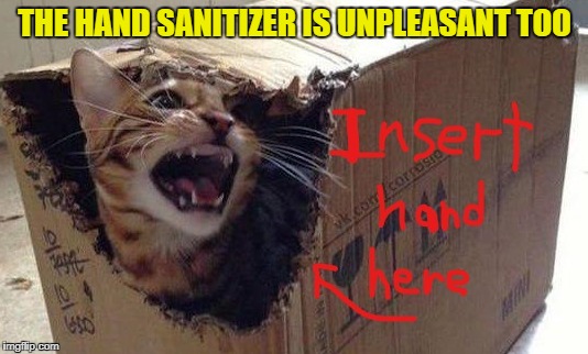 THE HAND SANITIZER IS UNPLEASANT TOO | made w/ Imgflip meme maker
