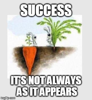 Ya know what I'm sayin'? | SUCCESS; IT'S NOT ALWAYS AS IT APPEARS | image tagged in success,appearances,patience | made w/ Imgflip meme maker
