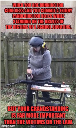 WHEN YOU ARE RUNNING FOR CONGRESS AND YOU COMMIT A FELONY PANDERING FOR VOTES WHILE STANDING ON THE GRAVES OF THE VICTIMS OF A SCHOOL SHOOTING. BUT YOUR GRANDSTANDING IS FAR MORE IMPORTANT THAN THE VICTIMS OR THE LAW. | image tagged in gun control,crime,gun crime,felony,tax evasion | made w/ Imgflip meme maker
