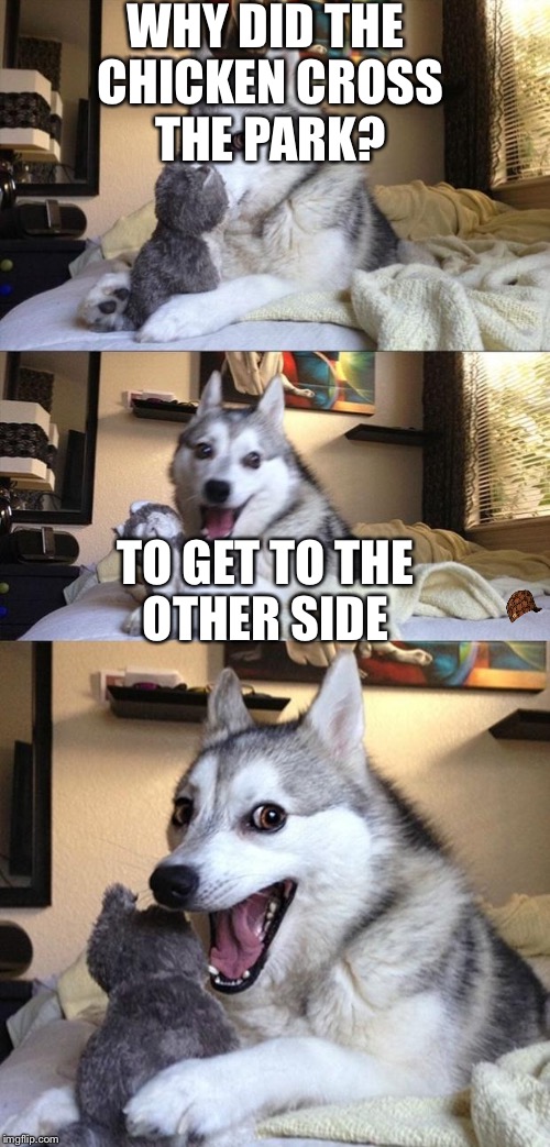 Bad Joke Dog | WHY DID THE CHICKEN CROSS THE PARK? TO GET TO THE OTHER SIDE | image tagged in bad joke dog,scumbag | made w/ Imgflip meme maker