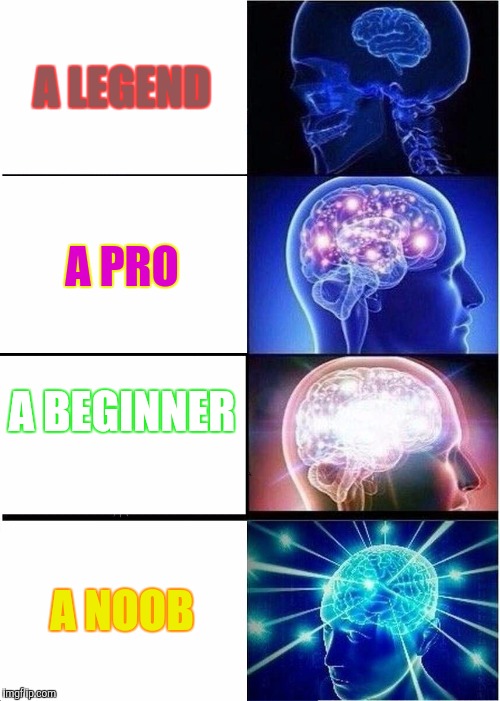 Expanding Brain | A LEGEND; A PRO; A BEGINNER; A NOOB | image tagged in memes,expanding brain | made w/ Imgflip meme maker