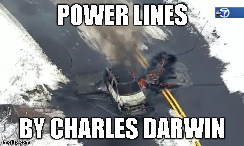 The latest Darwin Award winner drove himself to death. | POWER LINES; BY CHARLES DARWIN | image tagged in memes,darwin award,darwin awards,death | made w/ Imgflip meme maker