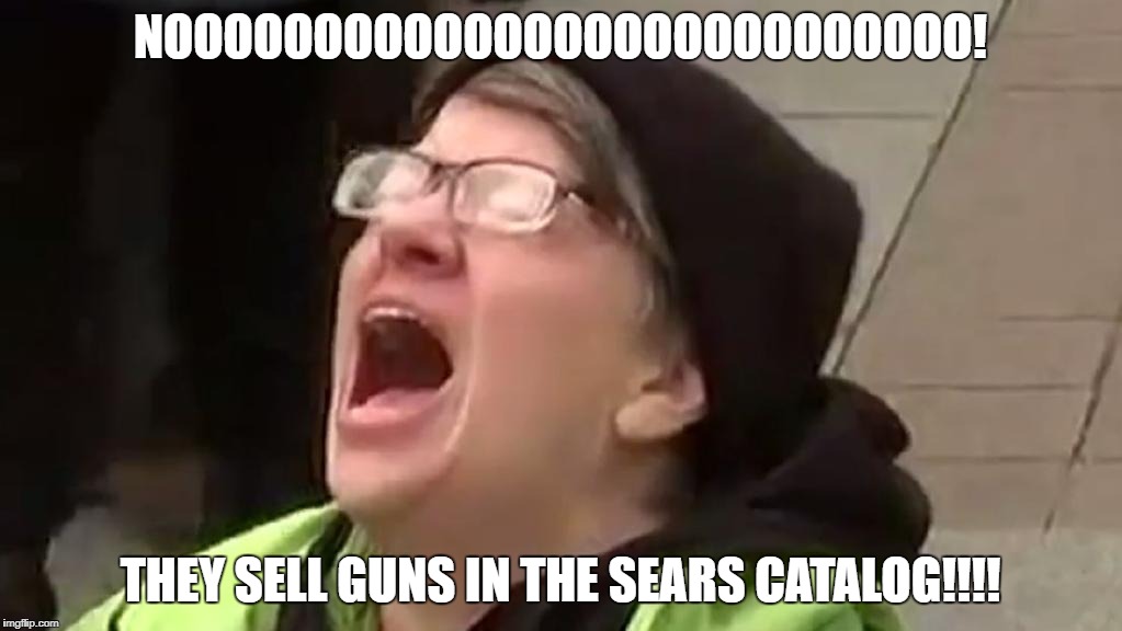 NOOOOOOOOOOOOOOOOOOOOOOOOOOO! THEY SELL GUNS IN THE SEARS CATALOG!!!! | image tagged in liberal scream | made w/ Imgflip meme maker