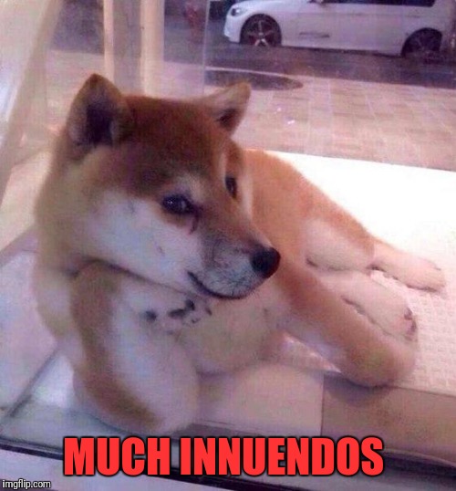 Flirting Doge | MUCH INNUENDOS | image tagged in flirting doge | made w/ Imgflip meme maker