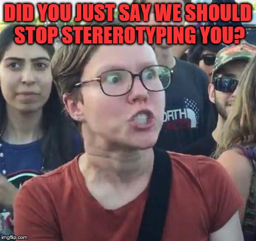 DID YOU JUST SAY WE SHOULD STOP STEREROTYPING YOU? | made w/ Imgflip meme maker