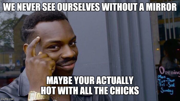 True though, think bout it | WE NEVER SEE OURSELVES WITHOUT A MIRROR; MAYBE YOUR ACTUALLY HOT WITH ALL THE CHICKS | image tagged in memes,roll safe think about it | made w/ Imgflip meme maker