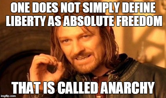 Why Liberalism Is Cancer | ONE DOES NOT SIMPLY DEFINE LIBERTY AS ABSOLUTE FREEDOM THAT IS CALLED ANARCHY | image tagged in memes,one does not simply,liberty,anarchy,freedom | made w/ Imgflip meme maker