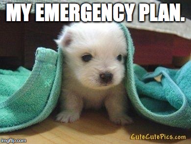 My emergency plan. | MY EMERGENCY PLAN. | image tagged in memes,emergency,cute puppies,puppy | made w/ Imgflip meme maker