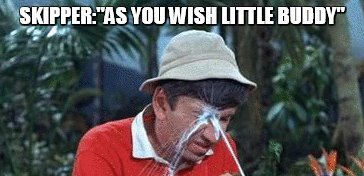 SKIPPER:"AS YOU WISH LITTLE BUDDY" | made w/ Imgflip meme maker