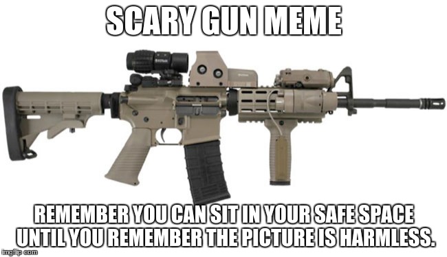 Ar15 | SCARY GUN MEME; REMEMBER YOU CAN SIT IN YOUR SAFE SPACE UNTIL YOU REMEMBER THE PICTURE IS HARMLESS. | image tagged in ar15 | made w/ Imgflip meme maker