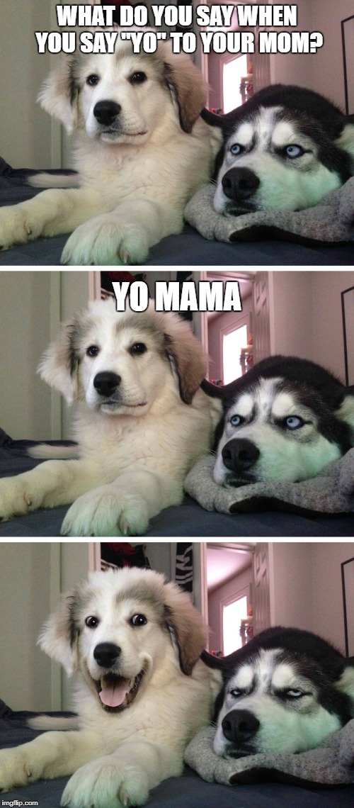 Yo mama | WHAT DO YOU SAY WHEN YOU SAY "YO" TO YOUR MOM? YO MAMA | image tagged in bad pun dogs,yo mama,dogs | made w/ Imgflip meme maker