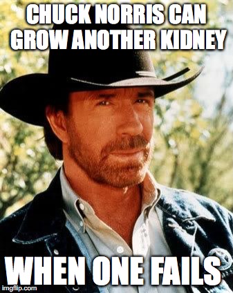 Chuck Norris Meme | CHUCK NORRIS CAN GROW ANOTHER KIDNEY; WHEN ONE FAILS | image tagged in memes,chuck norris,funny,funny memes,too funny,medical | made w/ Imgflip meme maker
