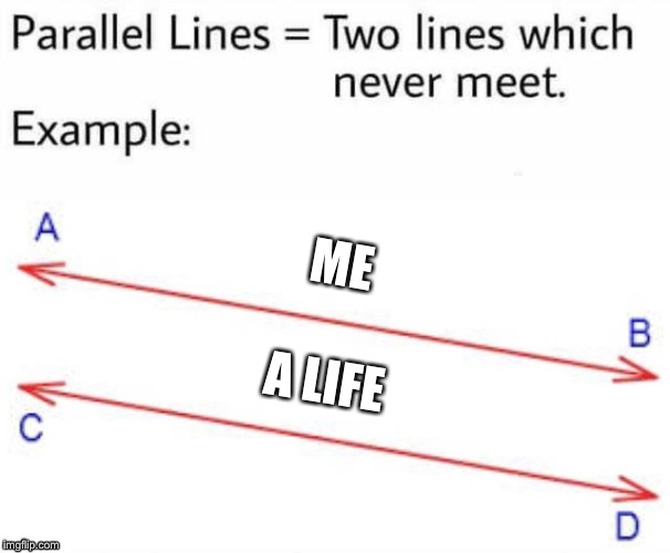 Parallel Lines | ME; A LIFE | image tagged in parallel lines | made w/ Imgflip meme maker