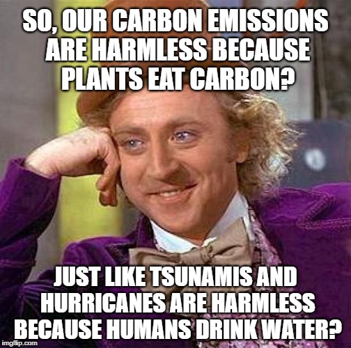 Creepy Condescending Carbon Emissions | SO, OUR CARBON EMISSIONS ARE HARMLESS BECAUSE PLANTS EAT CARBON? JUST LIKE TSUNAMIS AND HURRICANES ARE HARMLESS BECAUSE HUMANS DRINK WATER? | image tagged in memes,creepy condescending wonka,carbon footprint,climate change,climate,logic | made w/ Imgflip meme maker