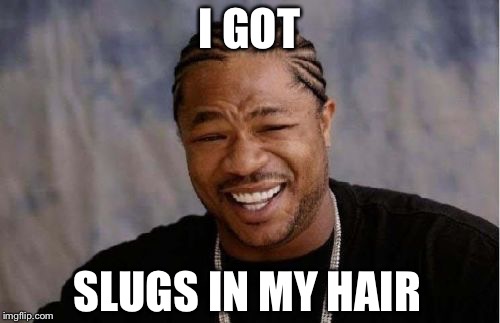 Yo Dawg Heard You Meme | I GOT; SLUGS IN MY HAIR | image tagged in memes,yo dawg heard you | made w/ Imgflip meme maker