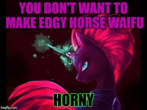 YOU DON'T WANT TO MAKE EDGY HORSE WAIFU HORNY | made w/ Imgflip meme maker