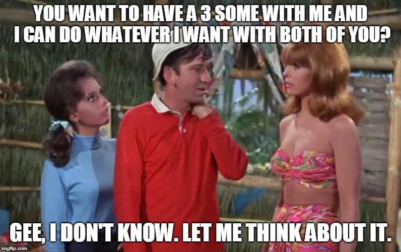 Every Episode of Gilligan's Island From My Shattered Memories | YOU WANT TO HAVE A 3 SOME WITH ME AND I CAN DO WHATEVER I WANT WITH BOTH OF YOU? GEE, I DON'T KNOW. LET ME THINK ABOUT IT. | image tagged in memes,gilligan's island,gilligans island week,threesome,gilligan,ginger | made w/ Imgflip meme maker
