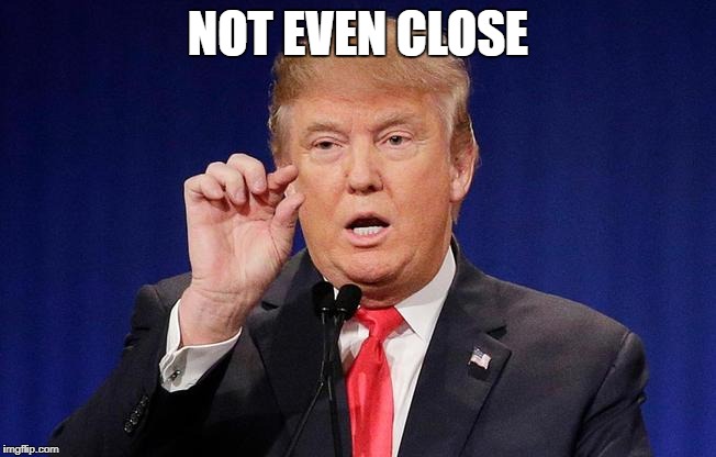Little trump | NOT EVEN CLOSE | image tagged in little trump | made w/ Imgflip meme maker