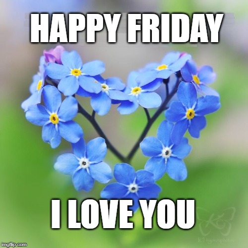 HAPPY FRIDAY; I LOVE YOU | image tagged in happy friday,i love you,flowers | made w/ Imgflip meme maker