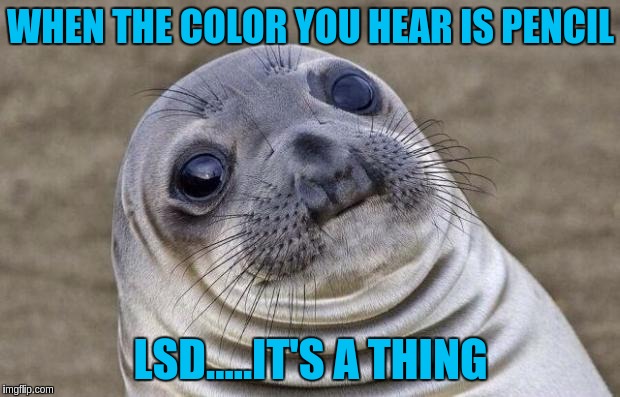 Awkward Moment Sealion Meme | WHEN THE COLOR YOU HEAR IS PENCIL; LSD.....IT'S A THING | image tagged in memes,awkward moment sealion | made w/ Imgflip meme maker