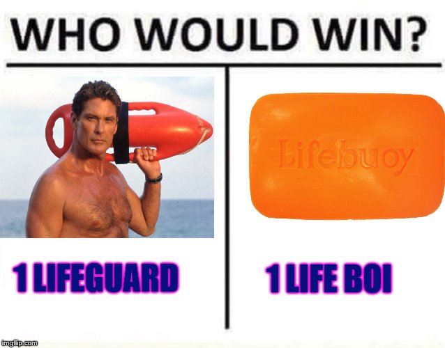CONGRATULATIONS! You've been Hoffed.  | 1 LIFE BOI; 1 LIFEGUARD | image tagged in who would win,david ha,the hoff,lifeguard,memes,funny memes | made w/ Imgflip meme maker