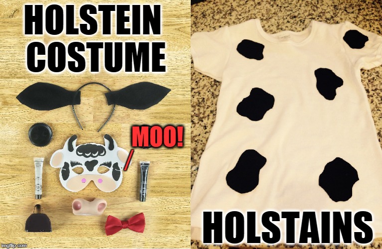 Udderly Ridiculous  | HOLSTEIN COSTUME; MOO! ⁄; HOLSTAINS | image tagged in vince vance,holstein,cows,costumes,moo,the spots are called holstains | made w/ Imgflip meme maker