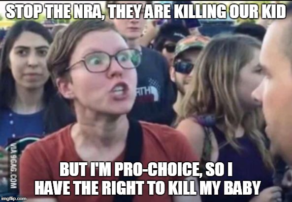 Logic | STOP THE NRA, THEY ARE KILLING OUR KID; BUT I'M PRO-CHOICE, SO I HAVE THE RIGHT TO KILL MY BABY | image tagged in femenist stereotype,liberal logic,nra,guns,abortion,meme | made w/ Imgflip meme maker