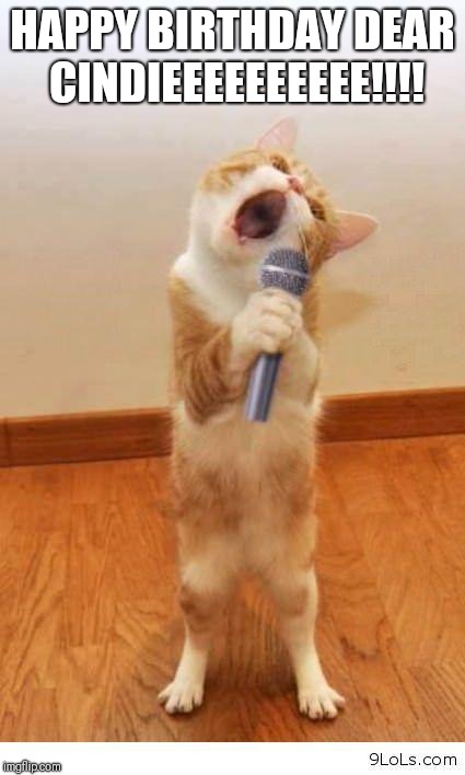 Cat Singer |  HAPPY BIRTHDAY DEAR CINDIEEEEEEEEEE!!!! | image tagged in cat singer | made w/ Imgflip meme maker