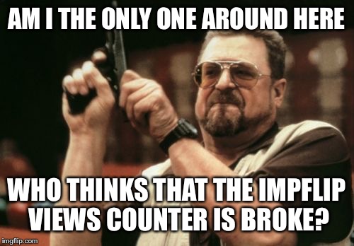 Am I The Only One Around Here | AM I THE ONLY ONE AROUND HERE; WHO THINKS THAT THE IMPFLIP VIEWS COUNTER IS BROKE? | image tagged in memes,am i the only one around here,imgflip,views,unbreaklp,broken | made w/ Imgflip meme maker