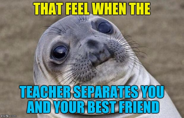 Awkward Moment Sealion Meme | THAT FEEL WHEN THE; TEACHER SEPARATES YOU AND YOUR BEST FRIEND | image tagged in memes,awkward moment sealion | made w/ Imgflip meme maker