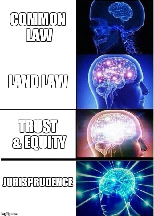 Expanding Brain Meme | COMMON LAW; LAND LAW; TRUST & EQUITY; JURISPRUDENCE | image tagged in memes,expanding brain | made w/ Imgflip meme maker