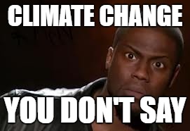 Kevin Hart | CLIMATE CHANGE; YOU DON'T SAY | image tagged in memes,kevin hart the hell,climate change,pollution | made w/ Imgflip meme maker