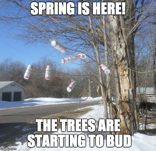SPRING IS HERE! THE TREES ARE STARTING TO BUD | image tagged in budweiser tree | made w/ Imgflip meme maker