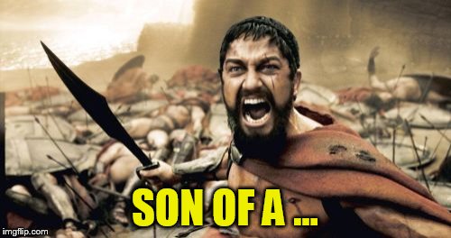 Sparta Leonidas Meme | SON OF A ... | image tagged in memes,sparta leonidas | made w/ Imgflip meme maker