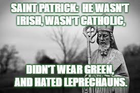 SAINT PATRICK:  HE WASN'T IRISH, WASN'T CATHOLIC, DIDN'T WEAR GREEN, AND HATED LEPRECHAUNS. | image tagged in st patrick | made w/ Imgflip meme maker