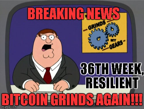 Peter Griffin News Meme | BREAKING NEWS; 36TH WEEK, RESILIENT; BITCOIN GRINDS AGAIN!!! | image tagged in memes,peter griffin news | made w/ Imgflip meme maker